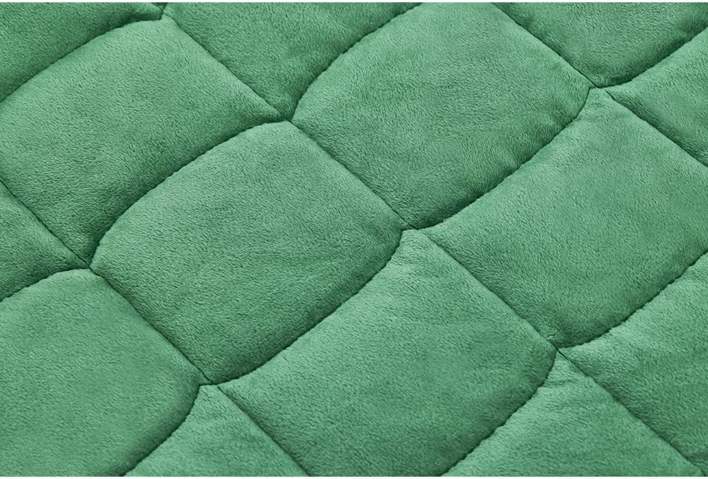 TONGDADA Weighted Lap Blanket 7lbs for Adult,Perfect for Relaxation, Lounging, Napping, Sleeping & Travel,Luxury Minky Weighted Body Blanket,Weighted Throw Blanket-Dark Green Minky, 29" x 24"