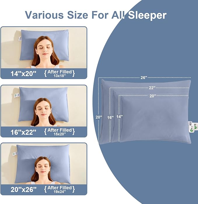 Organic Buckwheat Pillow for Sleeping with Dual-Layer Pillowcase and Extra Tartary Buckwheat Hulls, Adjust Height and Firmness, Neck Support Pillow for Back and Side Sleepers 14"x20", Baby Blue
