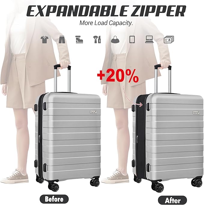 Zebra Luggage Sets 3 Piece, 20" Carry On Luggage with Spinner Wheels, Hardside Business Travel Suitcase Set with TSA Lock, Lightweight Suitcase,20/24/28 inch,Silver
