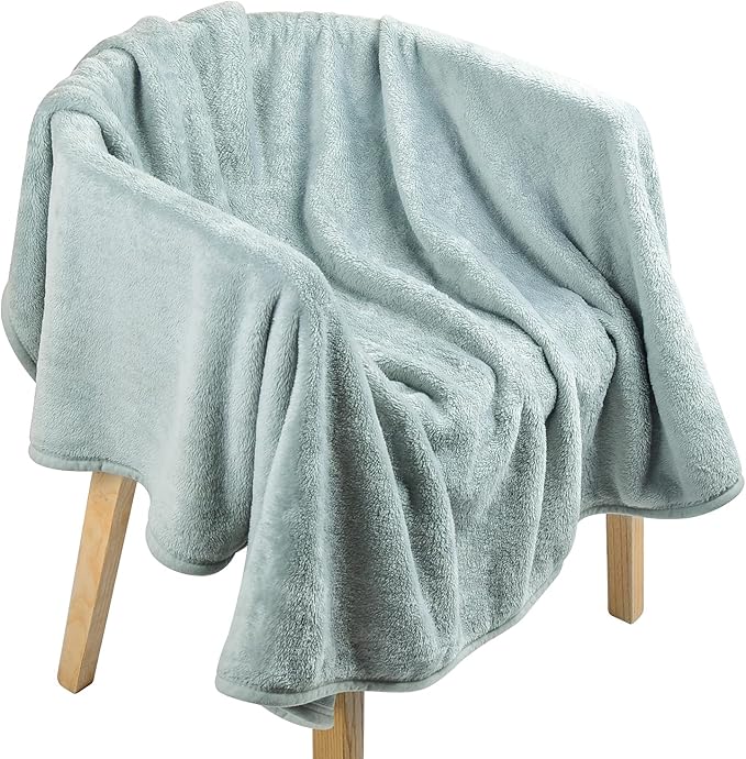 EIUE Comfortable Flannel Fleece Blanket,2 Packs Throw Size Lightweight Nap Quilt Blanket for Home, Office and Outdoor Travel,for Adults and Kids.(2 Packs,40x60 inch)