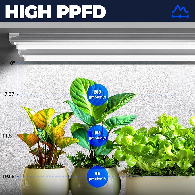 Barrina T8 Grow Light for Indoor Plant, Full Spectrum, 4FT 5000K, 4 Packs | V-Shape Plant Light with Reflector, Linkable, 168W (4 x 42W), for Greenhouse and Indoor Seedling Growth, Daylight White