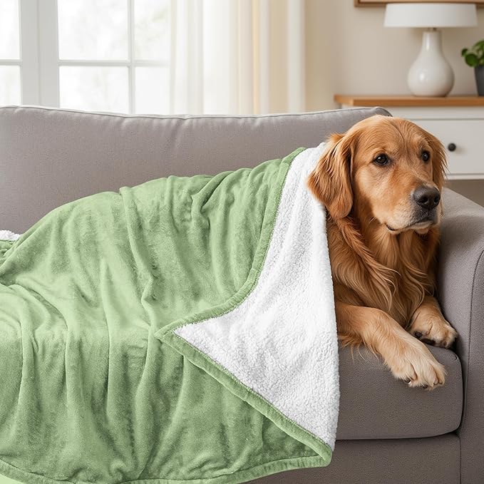 Utopia Bedding Sherpa Blanket Twin Size (Sage Green, 90x66 Inches) - Soft Lightweight Plush Fleece Reversible Blanket for Bed, Sofa, Couch, Camping and Travel