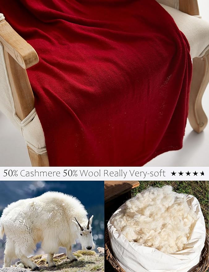 Soft Cashmere Blend Wrap Chic Scarf Stole for Women Wayfarer Travel Extra Large 87"x28"