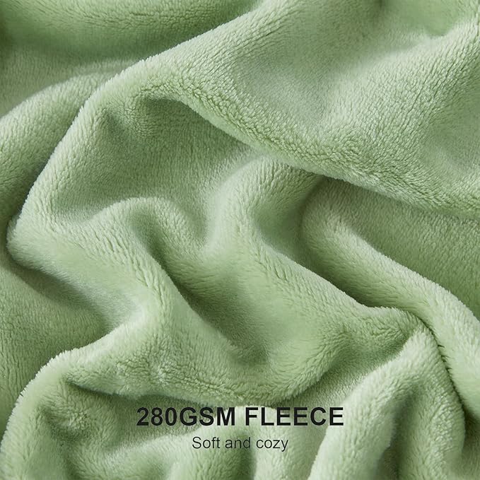 Hansleep Fleece Sage Green Queen Blanket, Super Soft Flannel Fuzzy Plush Cozy Blanket for All Seasons, Sage Green, Queen 90x90 Inches