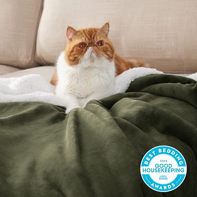 Bedsure GentleSoft Sherpa Fleece Blanket Queen Size for Bed, Non-Heated, Thick and Warm Throw for Women and Men, Soft Fuzzy Plush Queen Blanket for Winter, Olive Green, 90x90 Inches