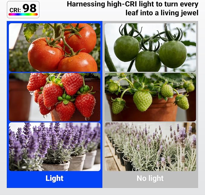 Barrina OG11A Grow Light Bulbs for Indoor Plant, 5000K 11W, 3 Packs, Black | Integrated Dimming & Timing, E26 Plant Light Bulb, Full Spectrum, High PPFD for Seeds and Greens