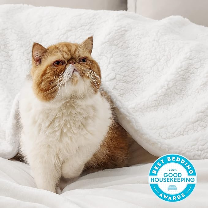 Bedsure GentleSoft Sherpa Fleece Throw Blanket for Couch, Non-Heated, Thick and Warm Throw for Women and Men, Soft Fuzzy Plush Blanket for Winter, White, 50x60 Inches