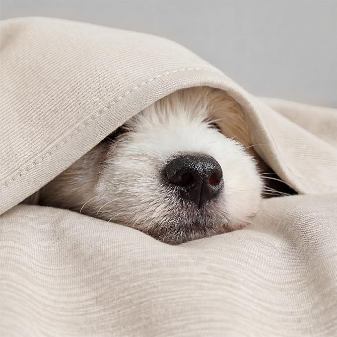 Bedsure Oat Beige Cooling Blanket for Hot Sleepers - Summer Cold Throw Blanket for Bed, Arc-Chill Lightweight Summer Bedding, Cool Thin Ice Cold Cooled Throws with Rayon Derived from Bamboo, 50x70