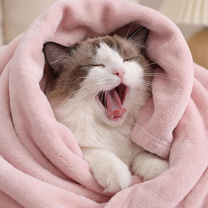 Bedsure GentleSoft Pink Fleece Blankets King Size - Bed Blanket Soft Lightweight Plush Cozy Fuzzy Luxury Microfiber, 108x90 inches