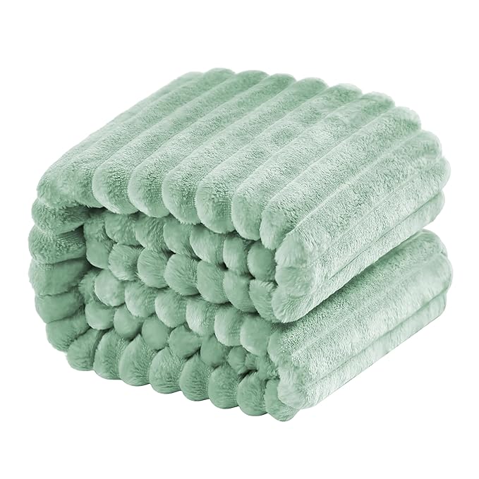 NTBAY Plush Flannel Twin Bed Blanket, 60X80 Inches Soft and Warm Lightweight Blanket with Striped Texture Bed Blanket for Couch Sofa Bed All Seasons, 60"x80", Mint