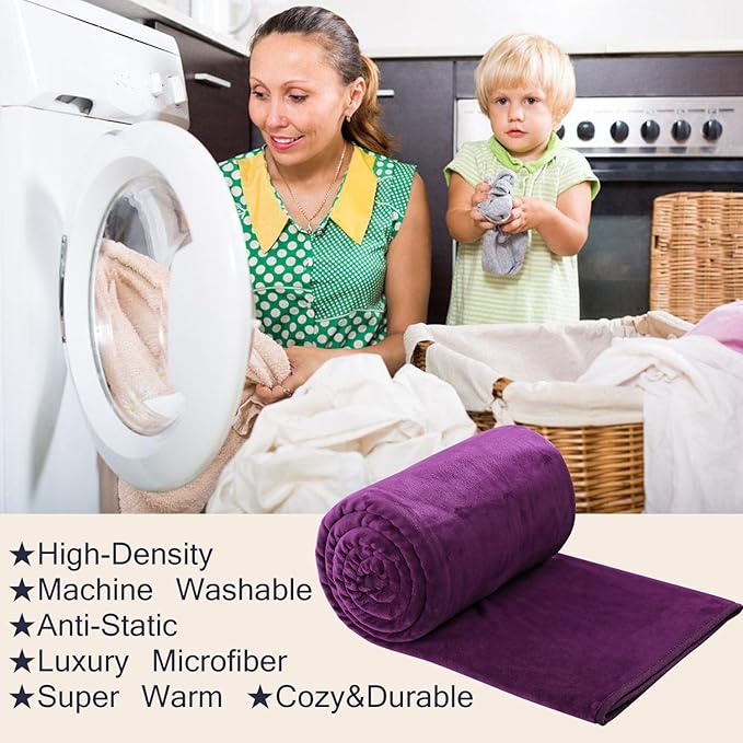 HOZY Soft Blanket Queen Size Fleece Warm Fuzzy Bed Blankets for The Bed Sofa Lightweight 350GSM Purple 90"*90"