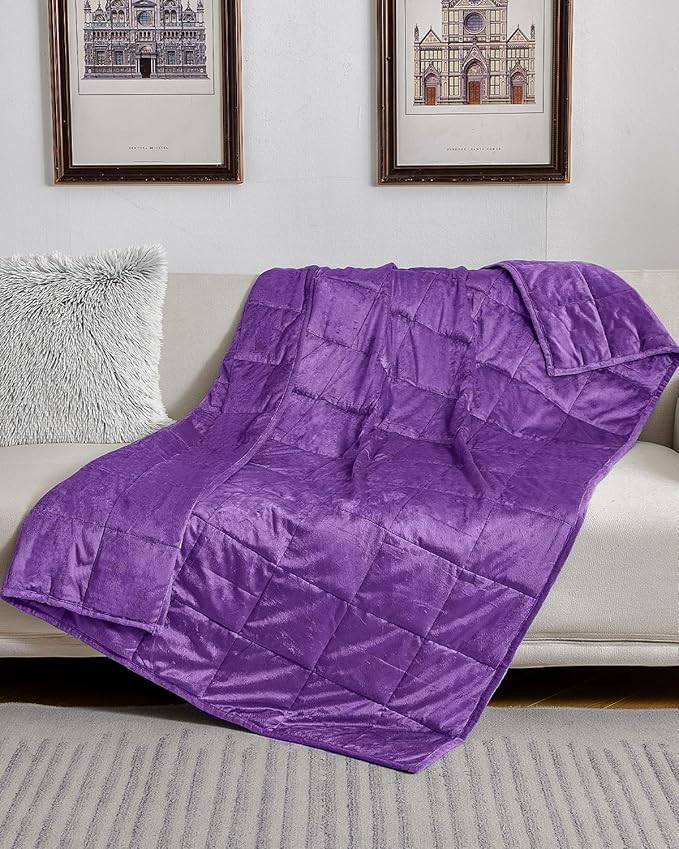 Topblan Weighted Blanket Queen Size 20lbs, Adult Weighted Blankets with Soft Warm Fabric for Sleeping and Calming, Adult Heavy Blanket for Sofa Bed, Purple, 60 x 80 inches