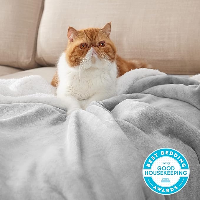 Bedsure GentleSoft Sherpa Fleece Blanket Queen Size for Bed, Non-Heated, Thick and Warm Throw for Women and Men, Soft Fuzzy Plush Queen Blanket for Winter, Light Grey, 90x90 Inches