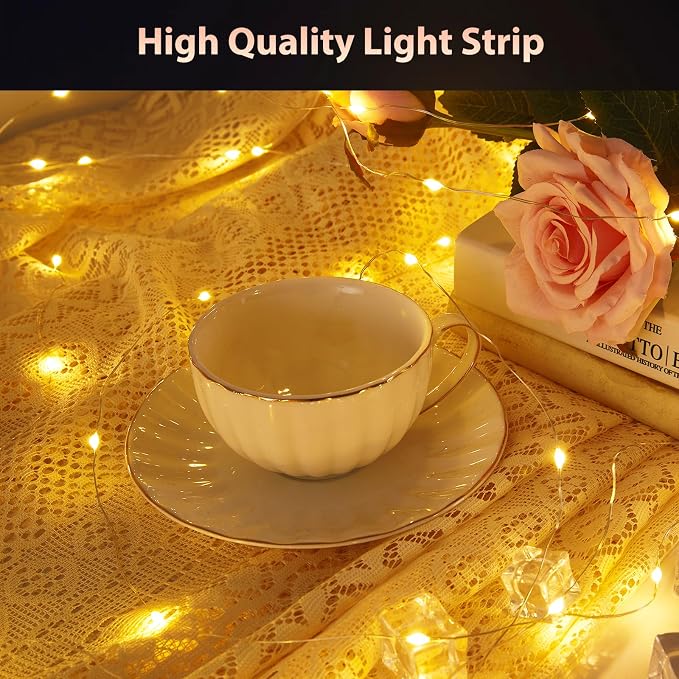 Ariceleo 1 Pack Warm White & Multi-Color Battery Operated String Lights, 5M/16.4ft. 50 LEDs Remote Control Timer 12 Modes Optional Twinkle Battery Powered Fairy Lights Sliver Wire Firefly Lights