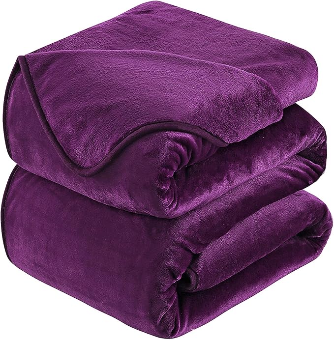 HOZY Soft Blanket Twin Size Fleece Warm Fuzzy Throw Blankets for The Bed Sofa Lightweight 350GSM Purple 66"*90"