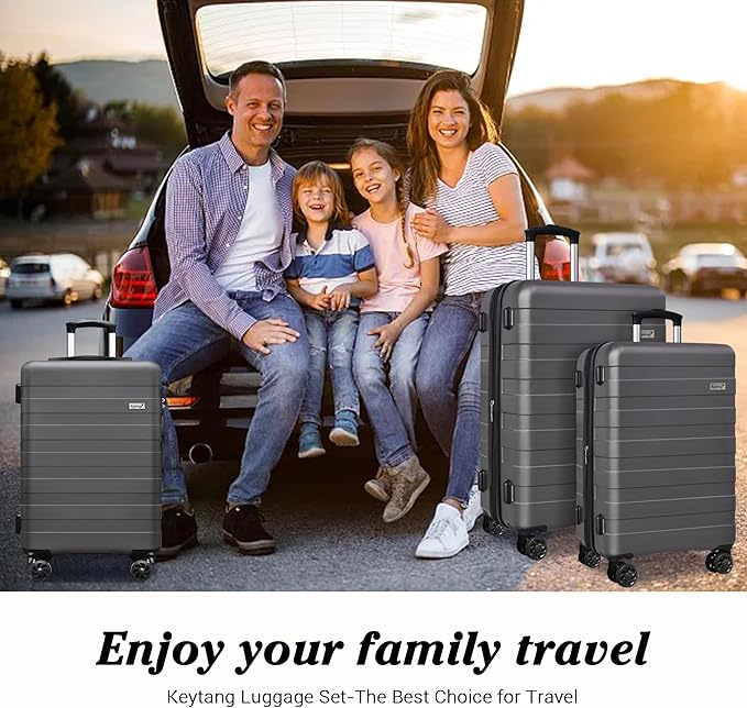 Zebra Luggage Sets 3 Piece, 20" Carry On Luggage with Spinner Wheels, Hardside Business Travel Suitcase Set with TSA Lock, Lightweight Suitcase,20/24/28 inch,Grey