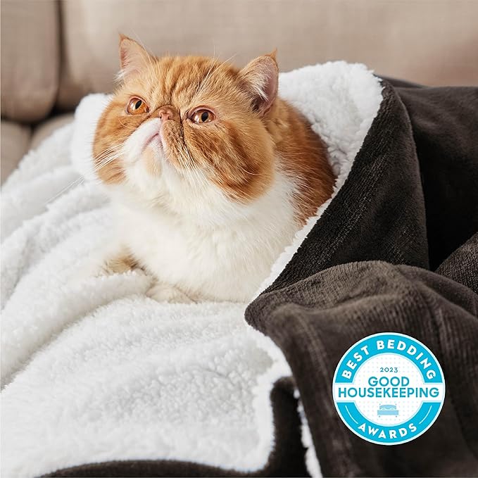 Bedsure GentleSoft Sherpa Fleece Twin Size Blanket for Couch, Non-Heated, Thick and Warm Throw for Women and Men, Soft Fuzzy Plush Twin Blanket for Winter, Brown, 60x80 Inches