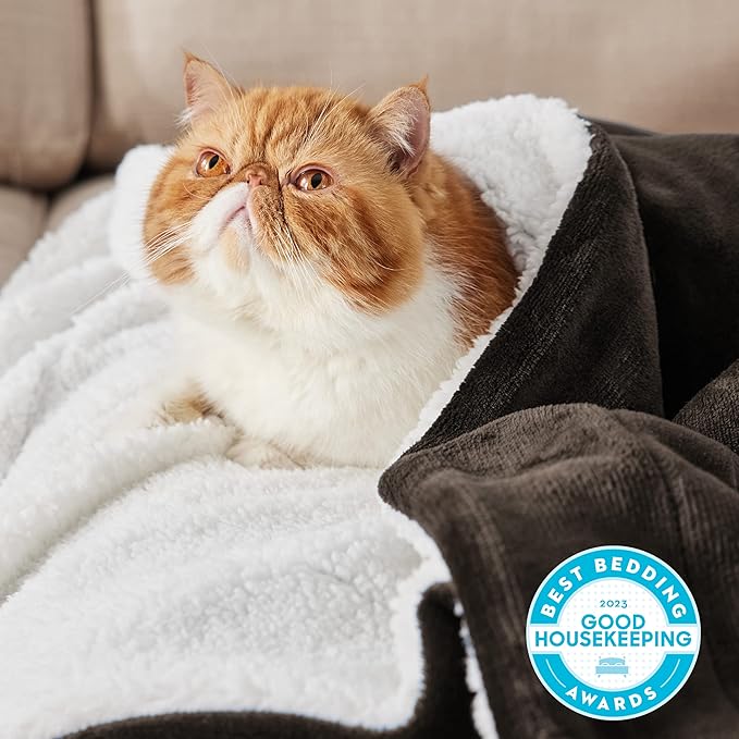 Bedsure GentleSoft Sherpa Fleece Blankets King Size for Bed, Non-Heated, Thick and Warm Throw for Women and Men, Soft Fuzzy Plush King Blanket for Winter, Brown, 108x90 Inches