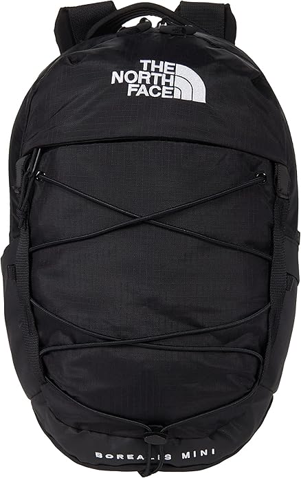 THE NORTH FACE Borealis MINI Backpack