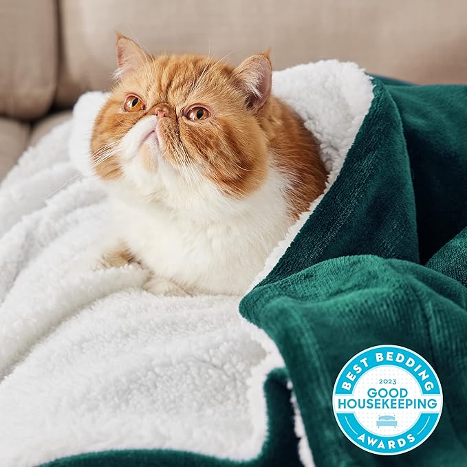 Bedsure GentleSoft Sherpa Fleece Throw Blanket for Couch, Non-Heated, Thick and Warm Throw for Women and Men, Soft Fuzzy Plush Blanket for Winter, Room Home Decor Gifts, Forest Green, 50x60 Inches