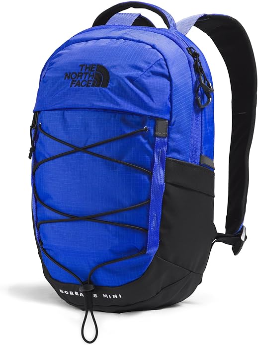 THE NORTH FACE Borealis MINI Backpack