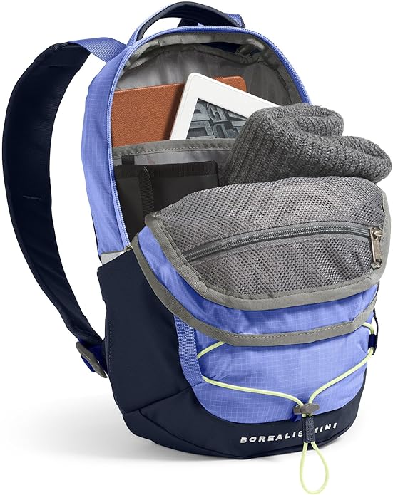 THE NORTH FACE Borealis MINI Backpack