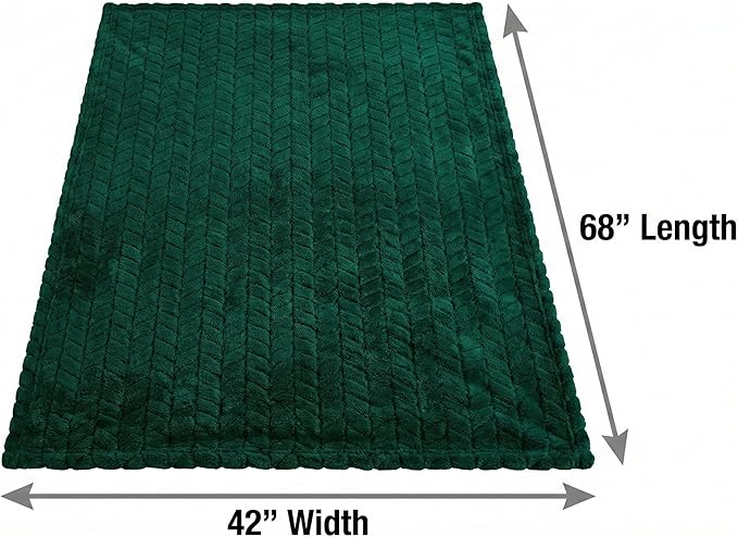 EverSnug Travel Blanket & Pillow 68x42 - Premium Ultra-Soft Microfleece 2 in 1 Compact & Packable Flight Blanket with Soft Bag Pillowcase, Hand Luggage Sleeve and Backpack Clip (Forest Green)