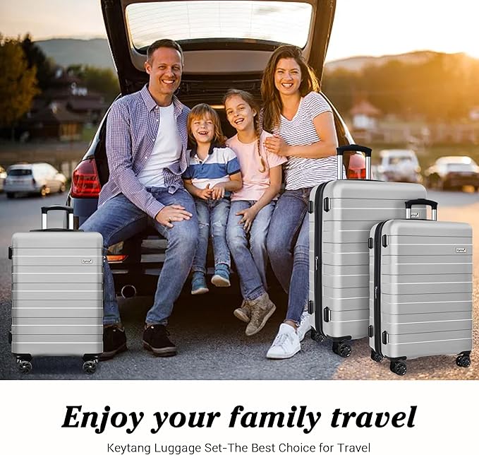 Zebra Luggage Sets 3 Piece, 20" Carry On Luggage with Spinner Wheels, Hardside Business Travel Suitcase Set with TSA Lock, Lightweight Suitcase,20/24/28 inch,Silver