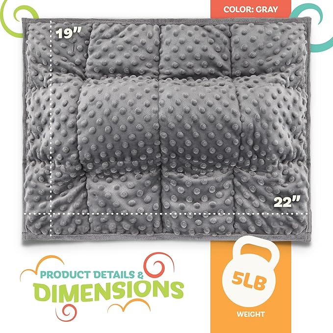 5lb Weighted Blanket (Grey) 19x22 Inch– Plush Minky Lap Pad with Sensory Support for Autism or ADHD, Giftable Weighted Blanket with Travel Bag for Ages 4–10