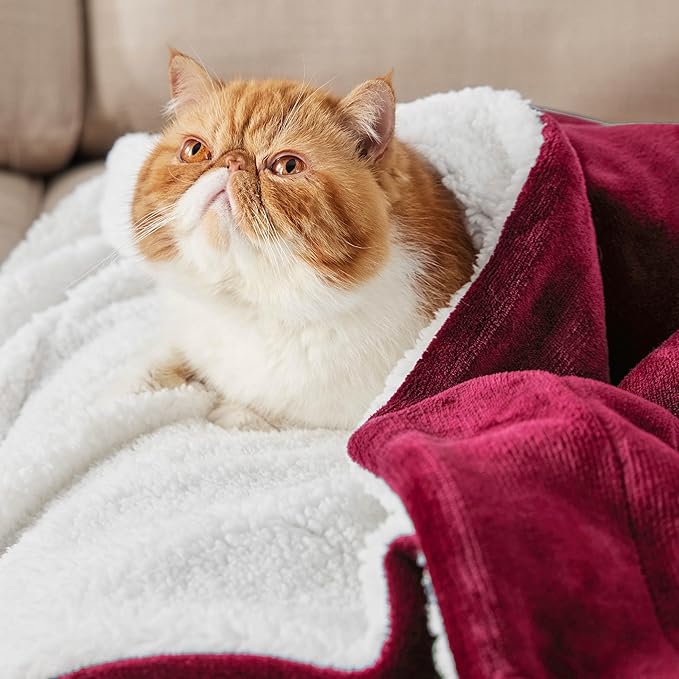 Bedsure GentleSoft Sherpa Fleece Twin Size Blanket for Couch, Non-Heated, Thick and Warm Throw for Girls and Women, Soft Fuzzy Plush Twin Blanket for Winter, Red, 60x80 Inches
