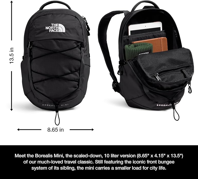 THE NORTH FACE Borealis MINI Backpack