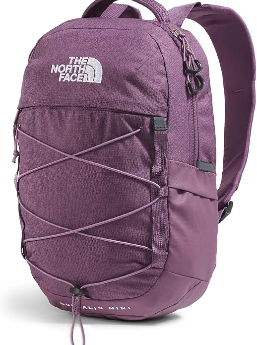 THE NORTH FACE Borealis MINI Backpack