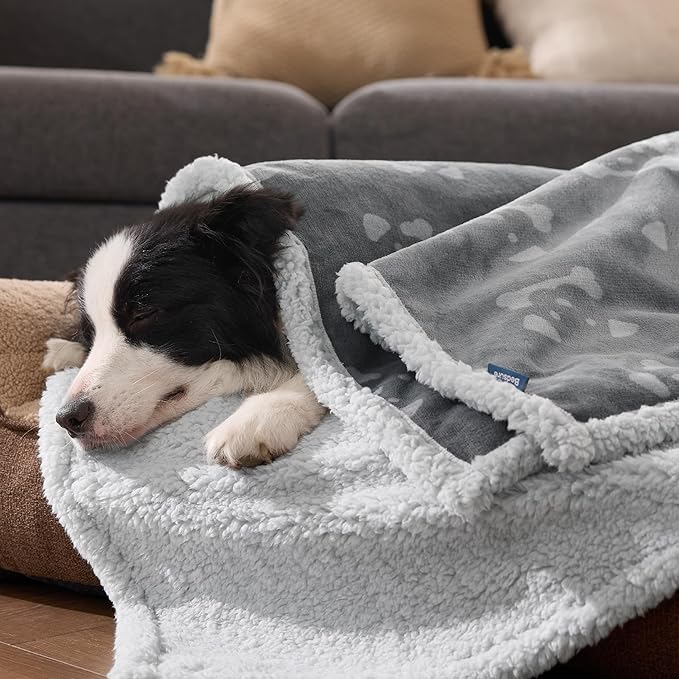 Bedsure Waterproof Blanket for Bed - Soft Print Sherpa Fleece Pet Cat Dog Blankets for Large Dogs Couch Protection, Soft Plush Reversible Furniture Protector, Twin Size, 60"x80", Anchor Gray