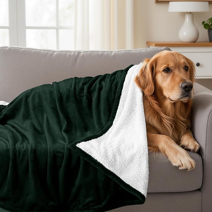 Utopia Bedding Sherpa Blanket Throw Size (Forest Green, 50x60 Inches) - Soft Lightweight Plush Fleece Reversible Blanket for Bed, Sofa, Couch, Camping and Travel