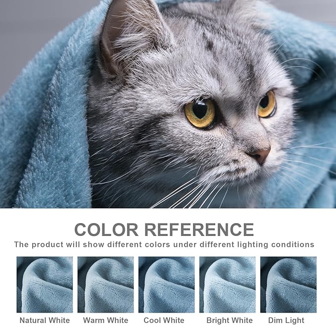 Hansleep Fleece Blanket Twin Size Washed Blue, Soft Cozy Twin Fuzzy Flannel Lightweight Blanket for Bed, Sofa, Couch, Travel, Camping, Washed Blue, 60x80 Inches