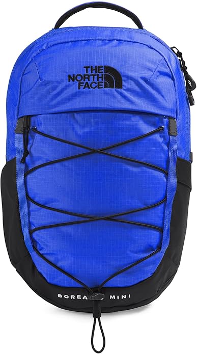 THE NORTH FACE Borealis MINI Backpack
