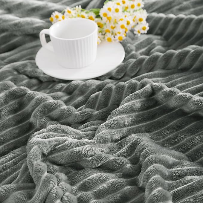NTBAY Plush Flannel Twin Bed Blanket, 60X80 Inches Soft and Warm Lightweight Blanket with Striped Texture Bed Blanket for Couch Sofa Bed All Seasons, 60"x80", Grey