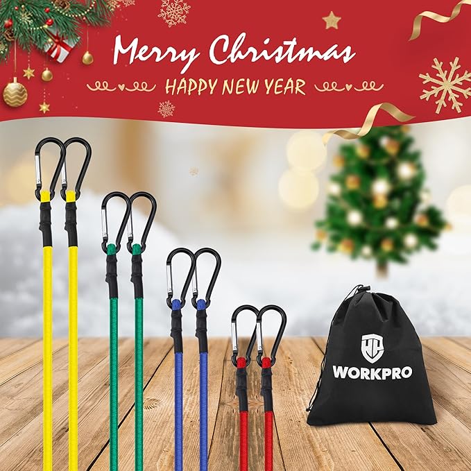 WORKPRO Bungee Cords Heavy Duty Outdoor - 8 PCS Bungee Cords with Hooks in a Storage Bag Includes 18", 24", 48", 60" Bungie Cord Bundle Assortment with Metal Hook, Bungee Straps