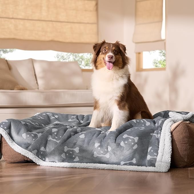 Bedsure Waterproof Dog Blankets for Large Dogs - Soft Print Sherpa Fleece Pet Cat Blanket Washable for Couch Bed Protection, Cozy Plush Reversible Throw Furniture Protector, 50"x60", Anchor Gray