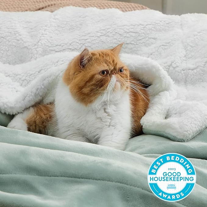 Bedsure GentleSoft Sherpa Fleece Blanket Queen Size for Bed, Non-Heated, Thick and Warm Throw for Women and Men, Soft Fuzzy Plush Queen Blanket for Spring, Sage Green, 90x90 Inches