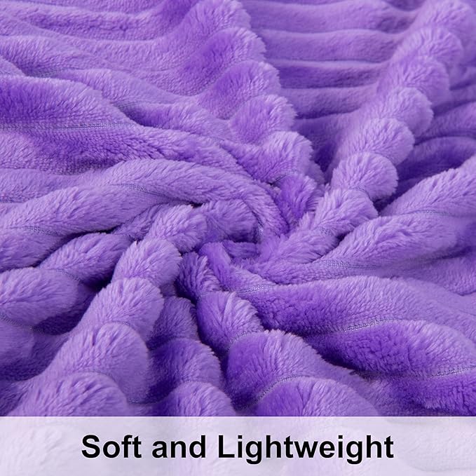 NTBAY Plush Flannel Twin Bed Blanket, 60X80 Inches Soft and Warm Lightweight Blanket with Striped Texture Bed Blanket for Couch Sofa Bed All Seasons, 60"x80", Purple
