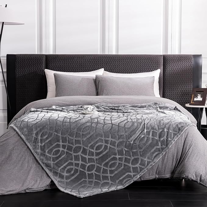 Soft Cozy Fleece Throw Blanket, 50x60 Inches – Lightweight Plush Blanket for Couch, Fuzzy 3D Jacquard Design, for Sofa, Bed & Travel - Light Grey