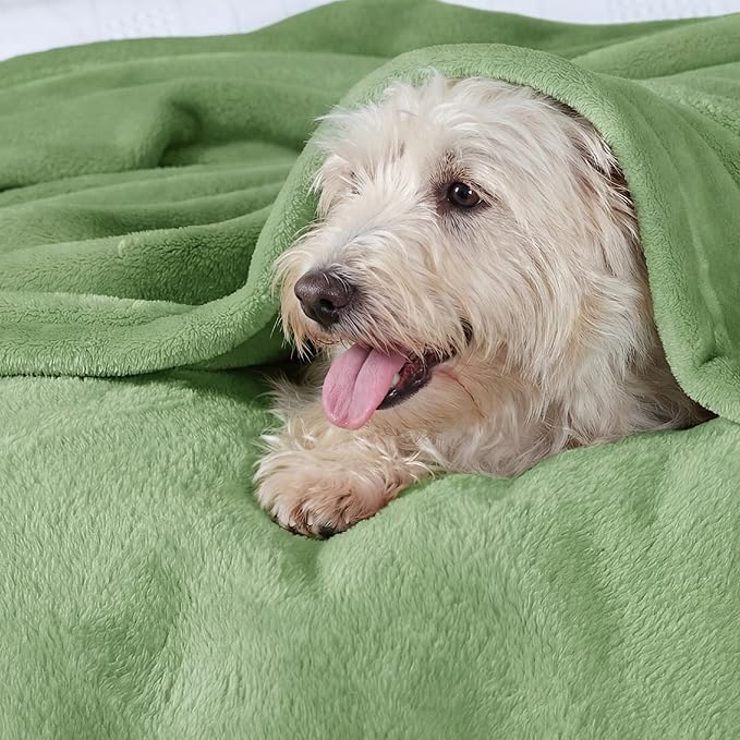 Bedsure GentleSoft Fleece Blanket Twin Size Green - 300GSM Lightweight Plush Fuzzy Cozy Soft Warm Blanket for Bed, Sofa, Couch, Travel, Camping, Emerald, 60x80 inches