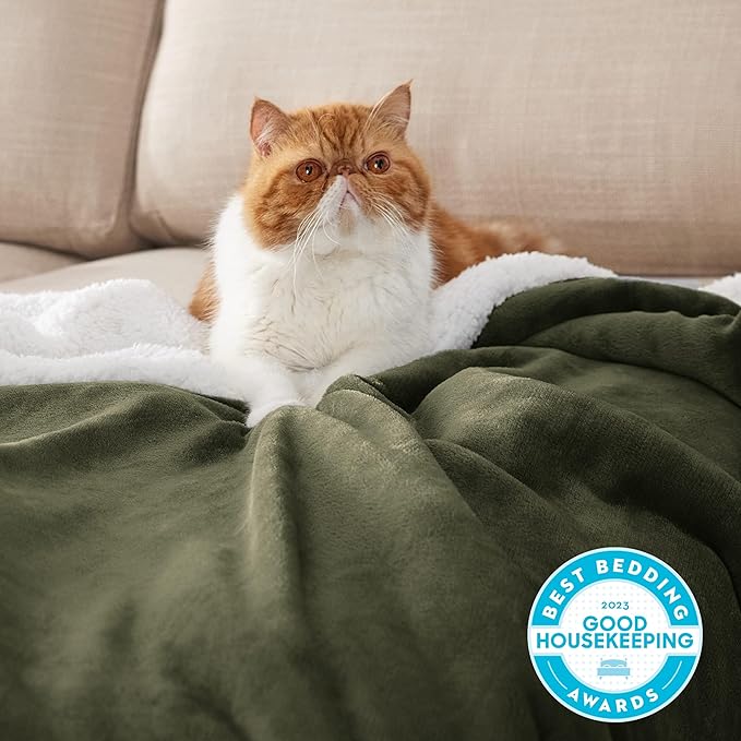 Bedsure GentleSoft Sherpa Fleece Twin Size Blanket for Couch, Non-Heated, Thick and Warm Throw for Women and Men, Soft Fuzzy Plush Twin Blanket for Winter, Olive Green, 60x80 Inches
