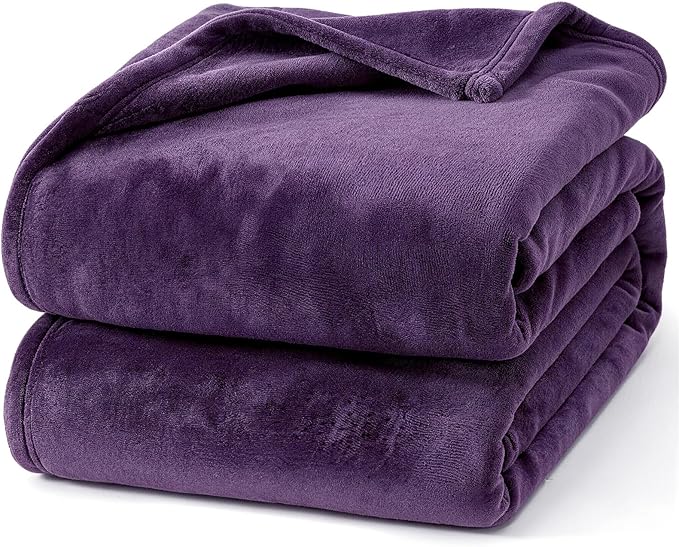 Hansleep Fleece Blanket for Couch Purple, Super Soft Flannel Fuzzy Throw Plush Cozy Blanket for All Seasons, Purple, Throw 50x60 Inches