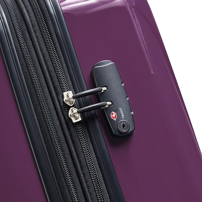 DELSEY PARIS Helium Aero Hardside Expandable Luggage with Spinner Wheels, Plum, 2-Piece Set (21/28)