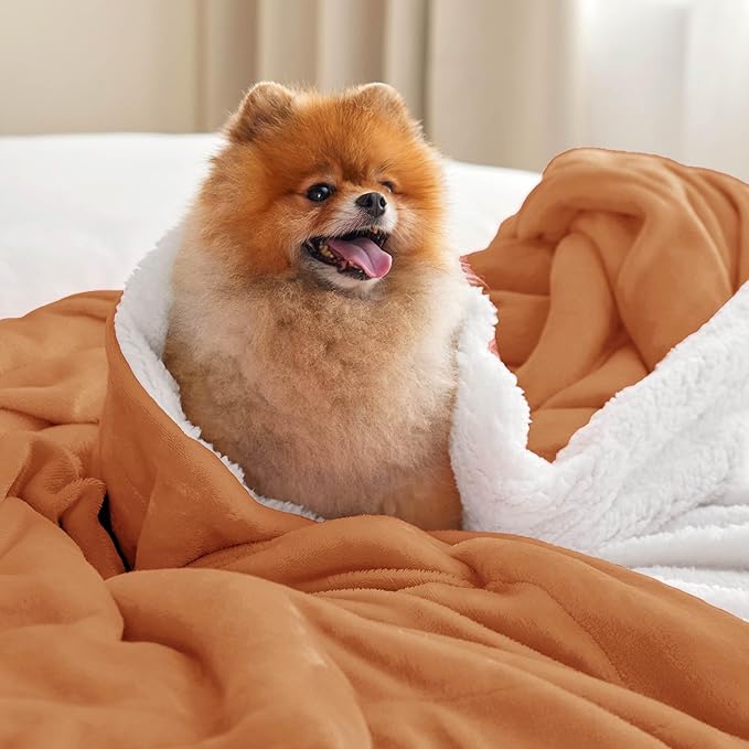 Bedsure GentleSoft Sherpa Fleece Blanket Queen Size for Bed, Non-Heated, Thick and Warm Throw for Women and Men, Soft Fuzzy Plush Queen Blanket for Winter, Burnt Orange, 90x90 Inches
