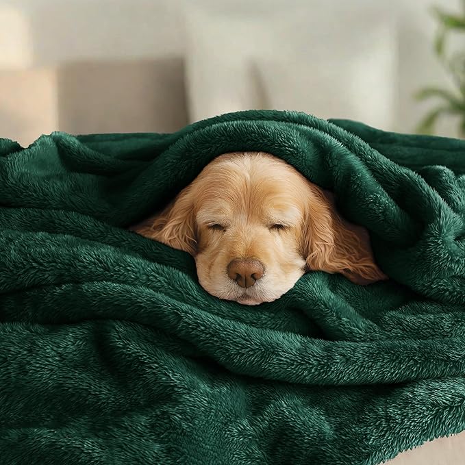 Exclusivo Mezcla Plush Fuzzy Fleece Bed Blanket Twin Size, Super Soft, Fluffy and Warm Blankets for Couch, Bed, All Season (Forest Green, 90x66 inches)