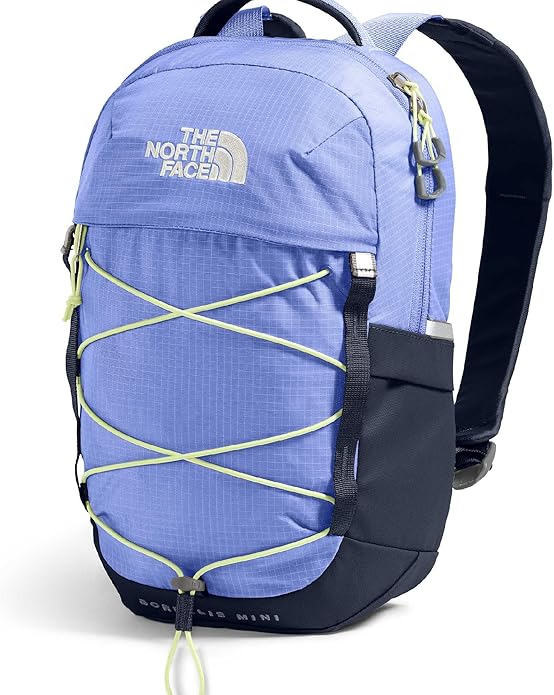 THE NORTH FACE Borealis MINI Backpack