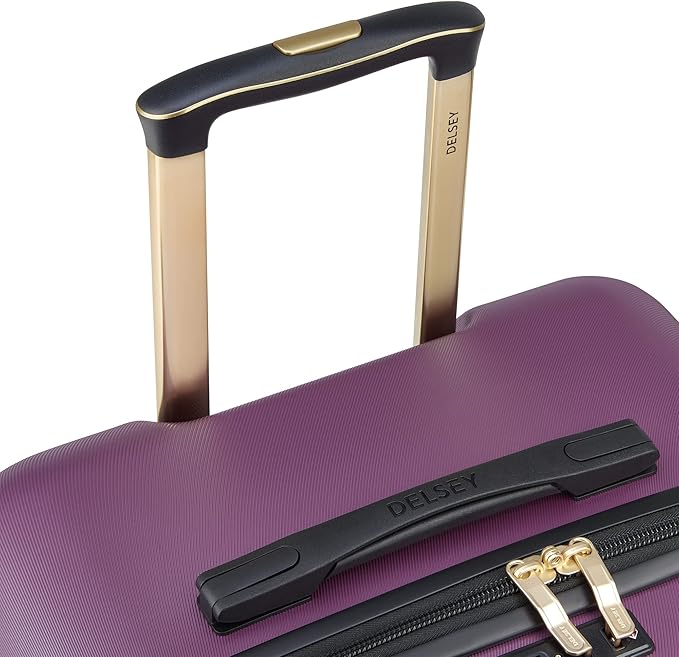DELSEY PARIS Cruise 3.0 Hardside Expandable Luggage with Spinner Wheels, Plum, Checked 26 Inch Trunk